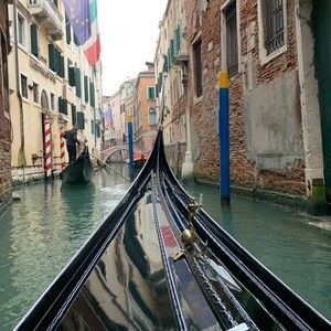 Meet your Posher, Susan